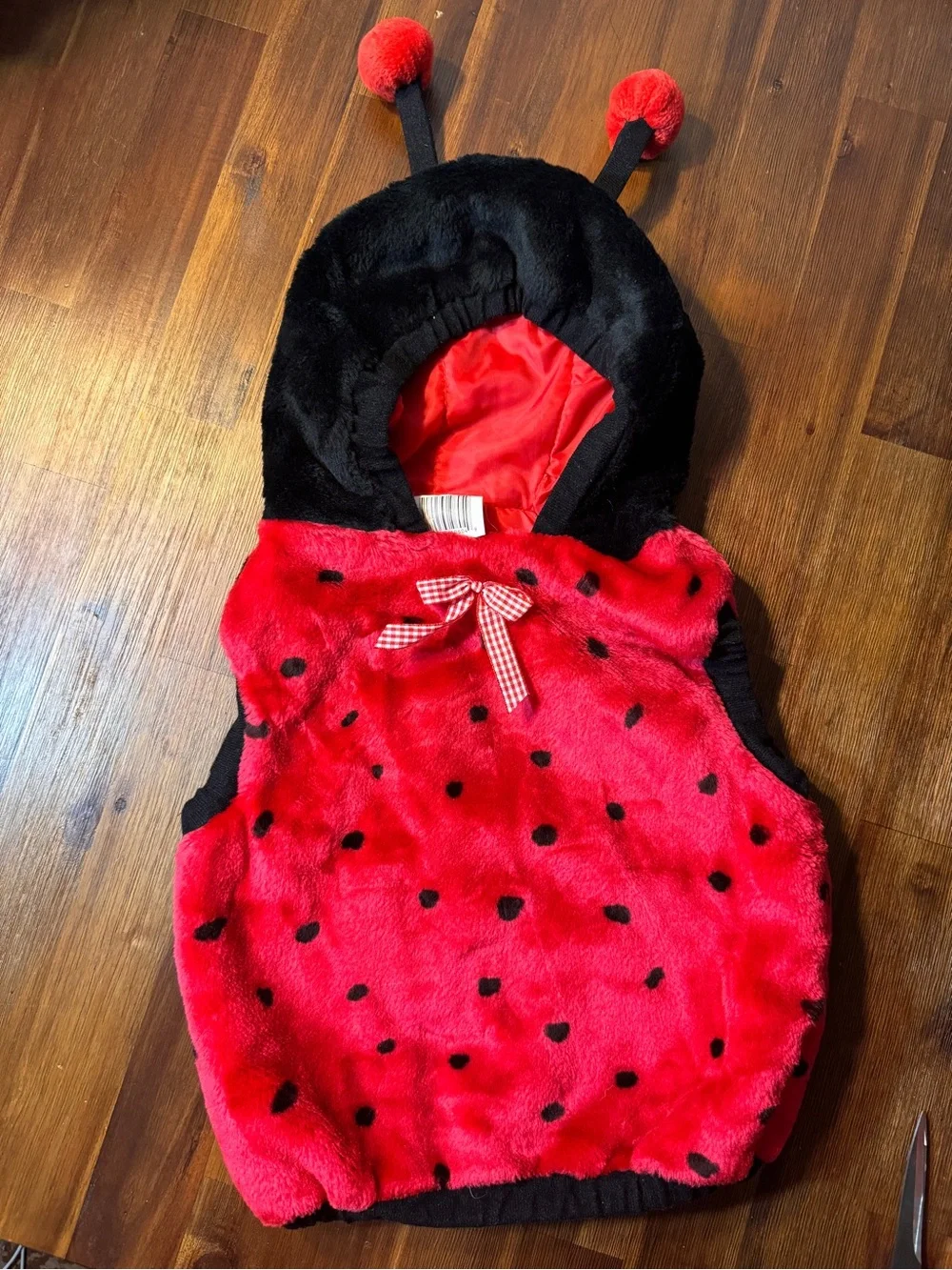 Toddler 24 Months Plush Ladybug Halloween Costume With Hood & Antennas